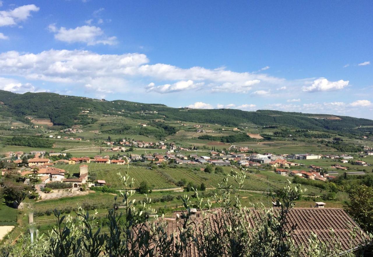 Valpolicella Hills Apartment Negrar Exterior photo