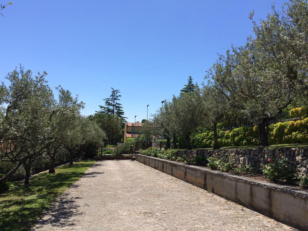 Valpolicella Hills Apartment Negrar Exterior photo